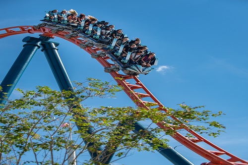 Black Friday SeaWorld Orlando - Ingresso para 03 Parques com Plano de Refeição (SeaWorld, Aquática, Busch Gardens)