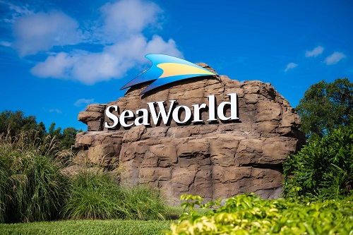 Black Friday SeaWorld – 4 parques com visitas ilimitadas e estacionamento Grátis (SeaWorld, Aquática, Busch e Adventure)