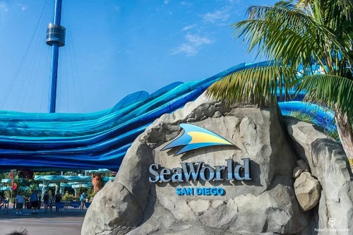 Black Friday SeaWorld San Diego  Ingresso de 1 dia 